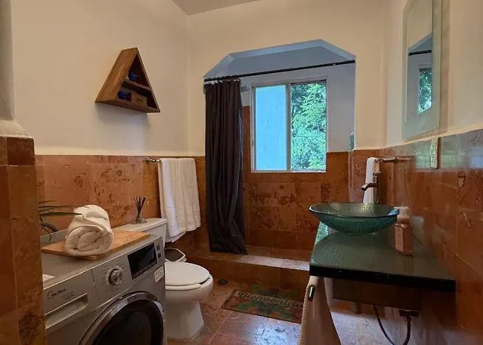 Apartment Bright In The Heart Of La Condesa *