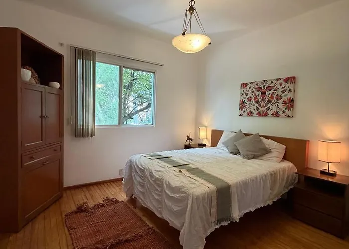 Apartment Bright In The Heart Of La Condesa