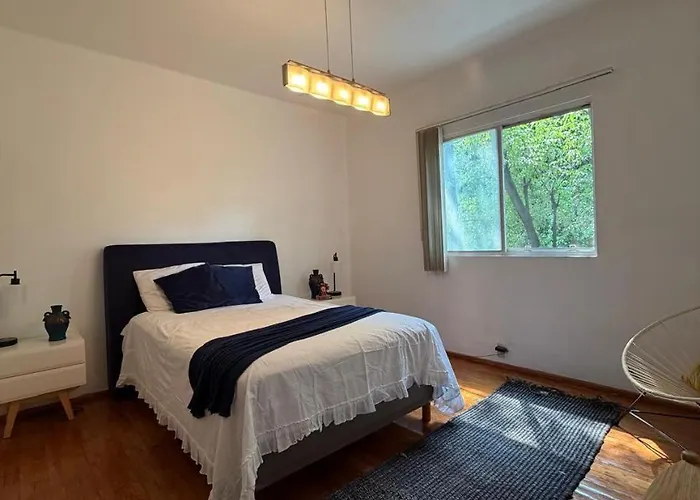 Apartment Bright In The Heart Of La Condesa *